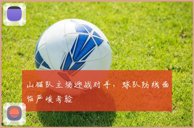 山猫队主场迎战对手，球队防线面临严峻考验