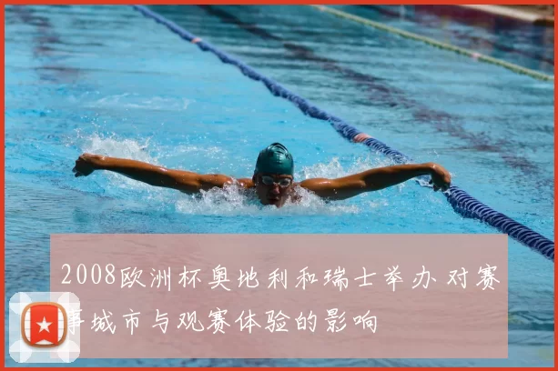 2008欧洲杯奥地利和瑞士举办 对赛事城市与观赛体验的影响