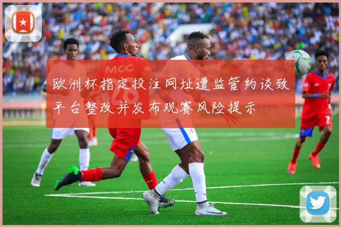 欧洲杯指定投注网址遭监管约谈致平台整改并发布观赛风险提示