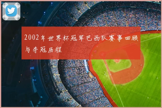 2002年世界杯冠军巴西队赛事回顾与夺冠历程
