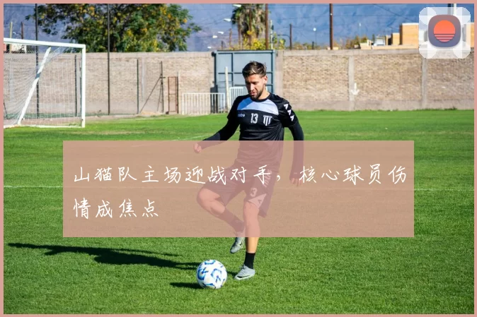 山猫队主场迎战对手，核心球员伤情成焦点